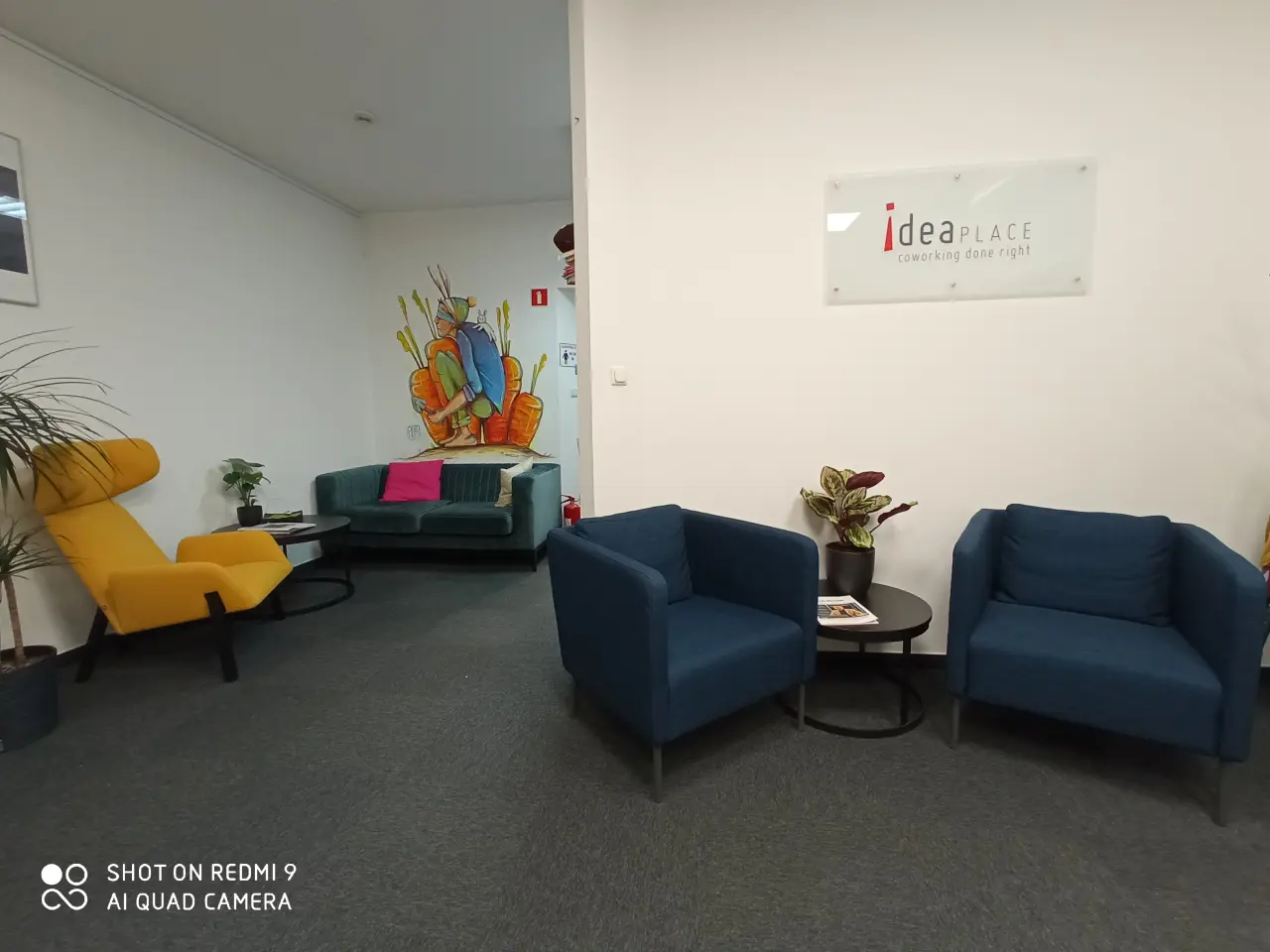 Gallery photo