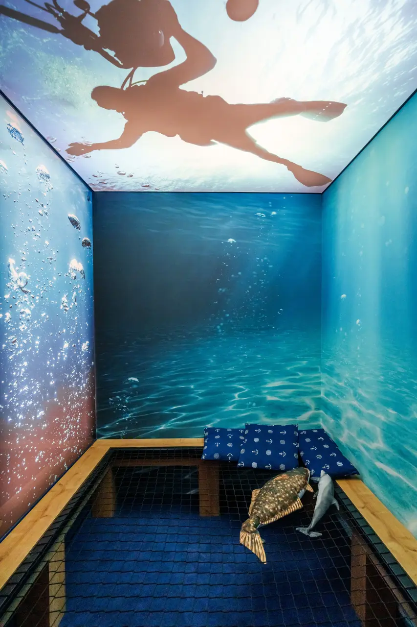 Gallery photo
