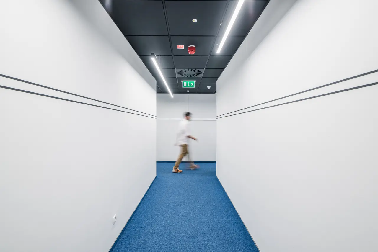 Gallery photo
