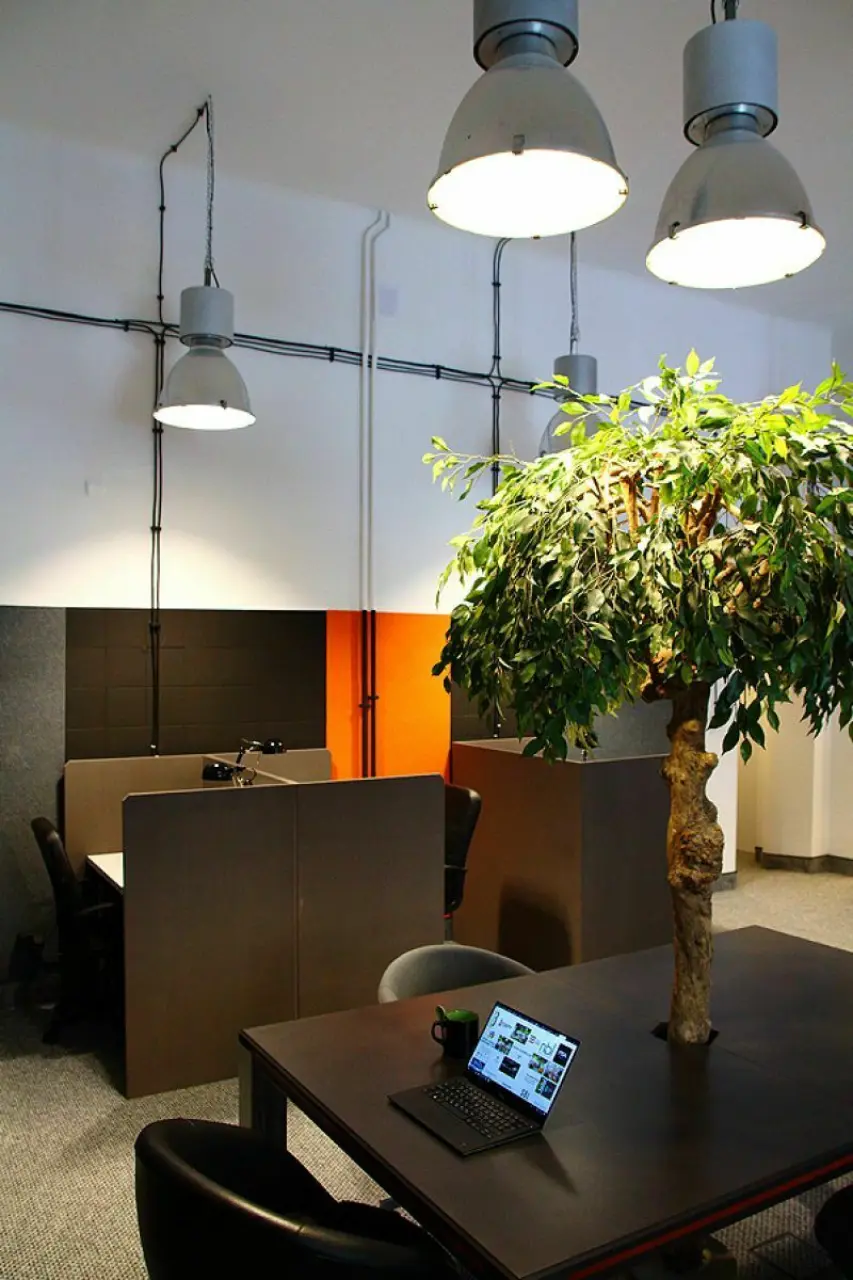 Gallery photo