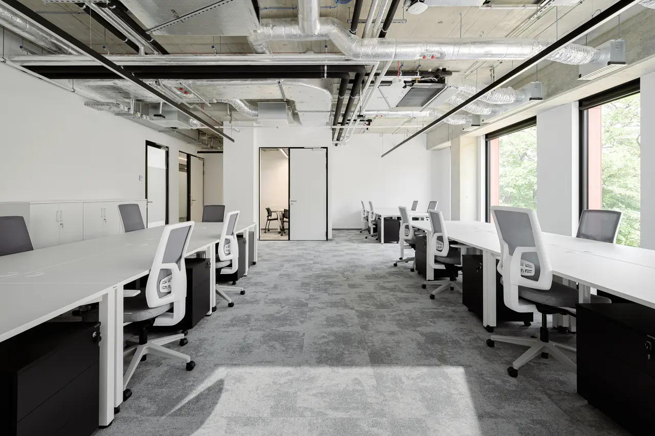 Gallery photo
