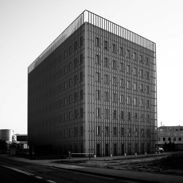 GOC