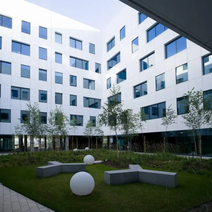 Dot Office F