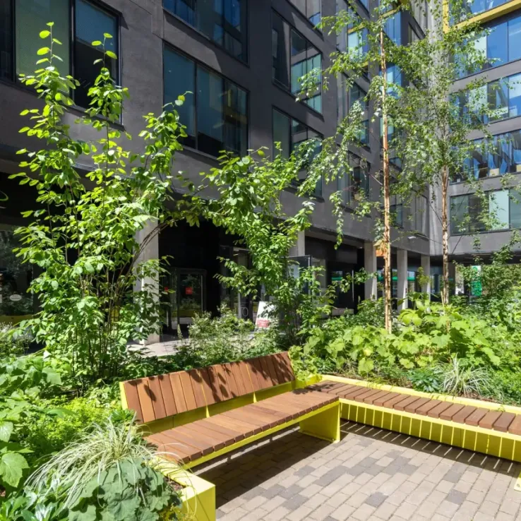 Green Horizon Green Horizon