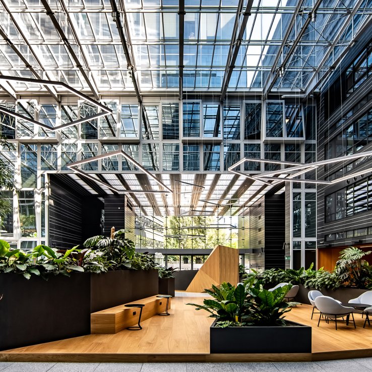 Wola Center