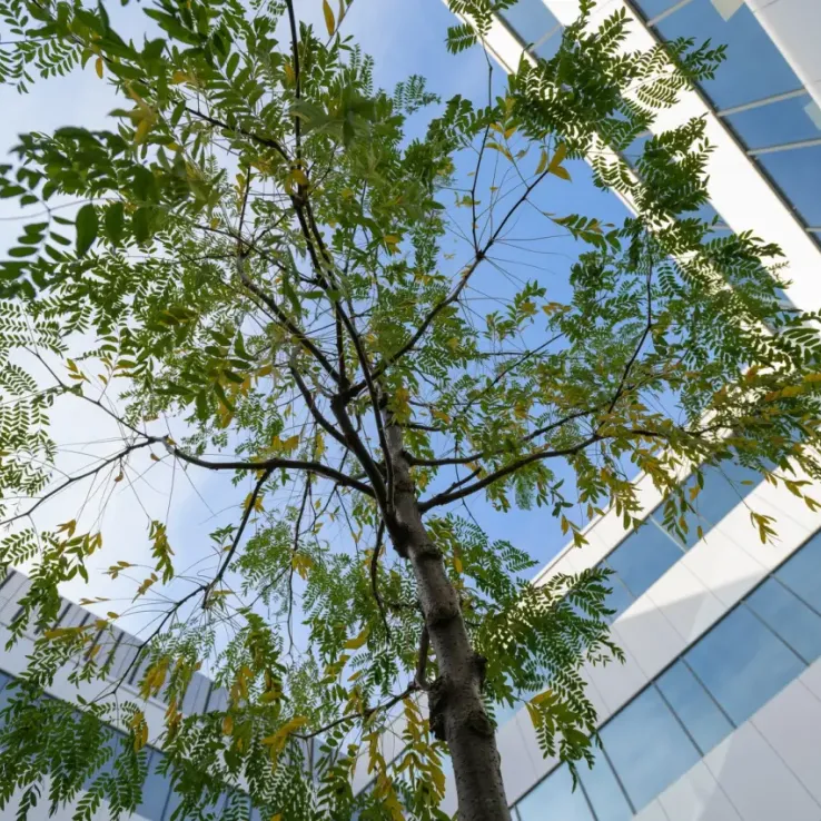 The Park Wrocław II