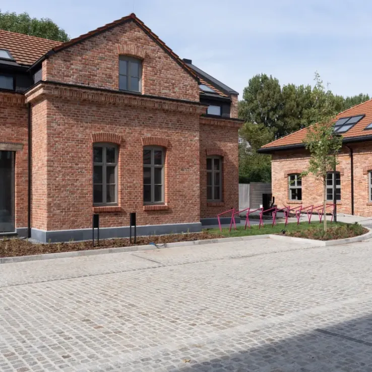 Zawiła 65 X Zawiła 65 X