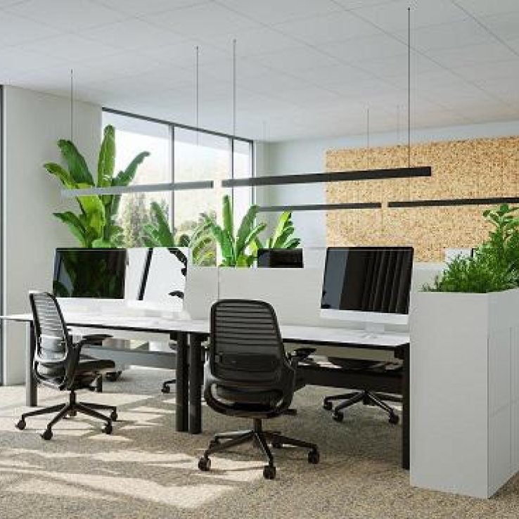 V. Offices