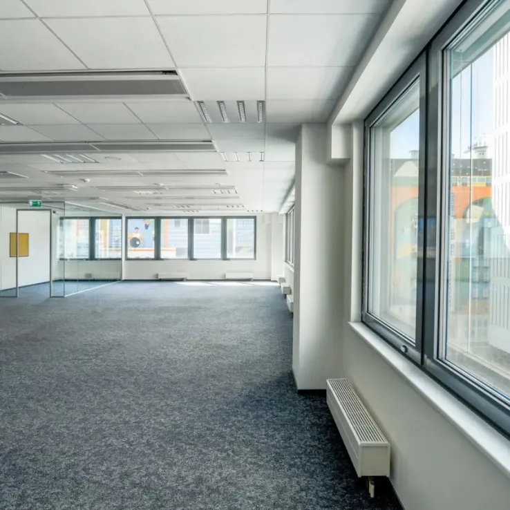 Wise Point Wise Point