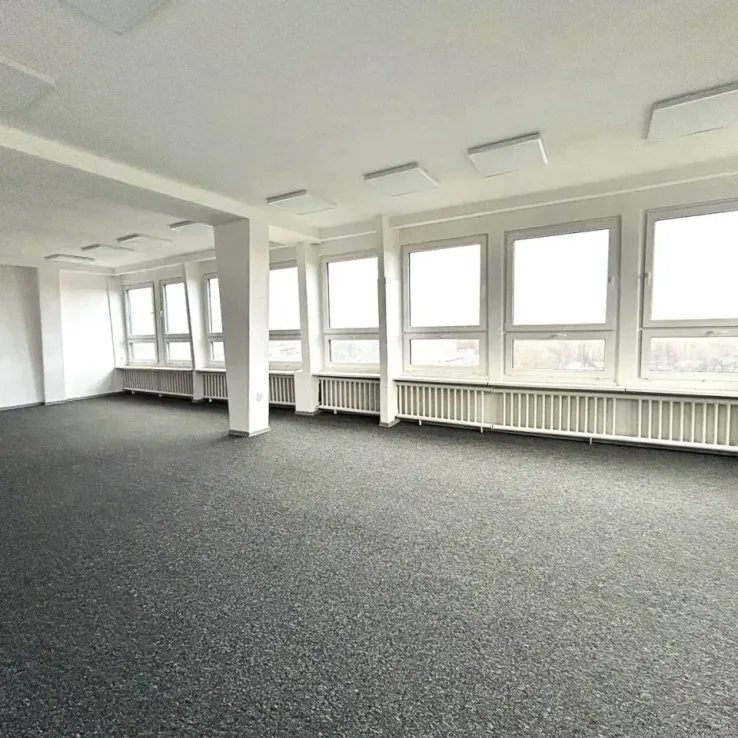 TEO PARK Office