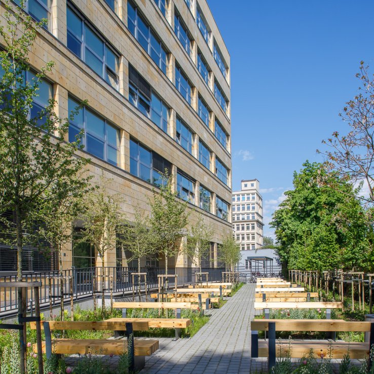 Lubicz Park B