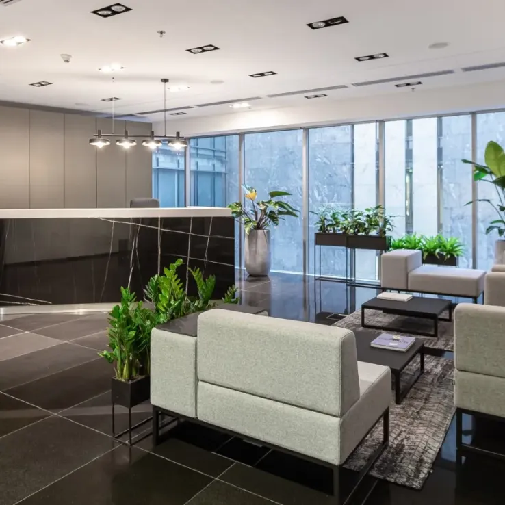 Wolf Marszałkowska Wolf Marszałkowska