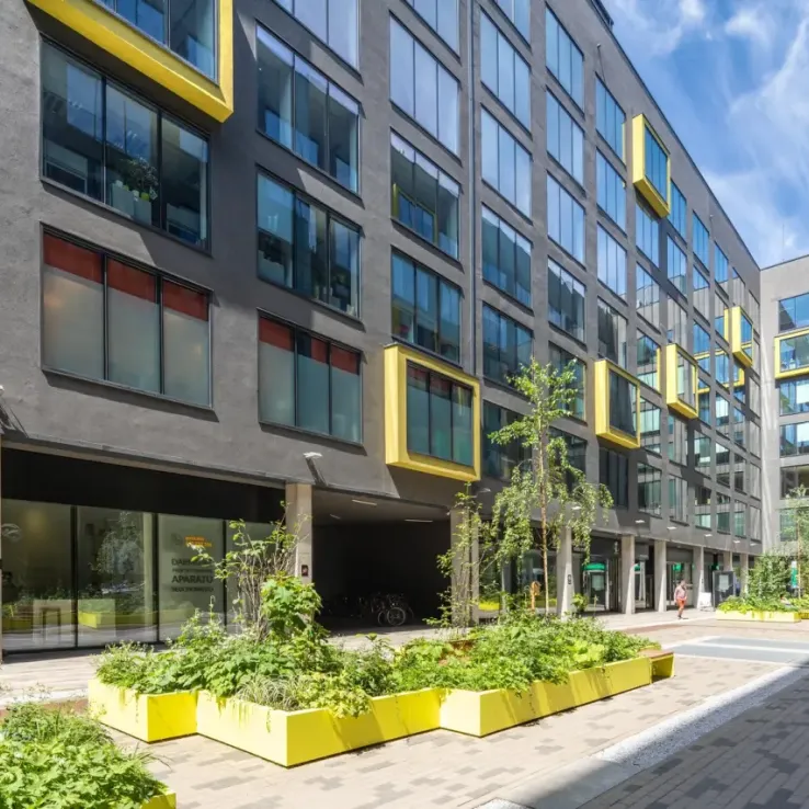 Green Horizon Green Horizon