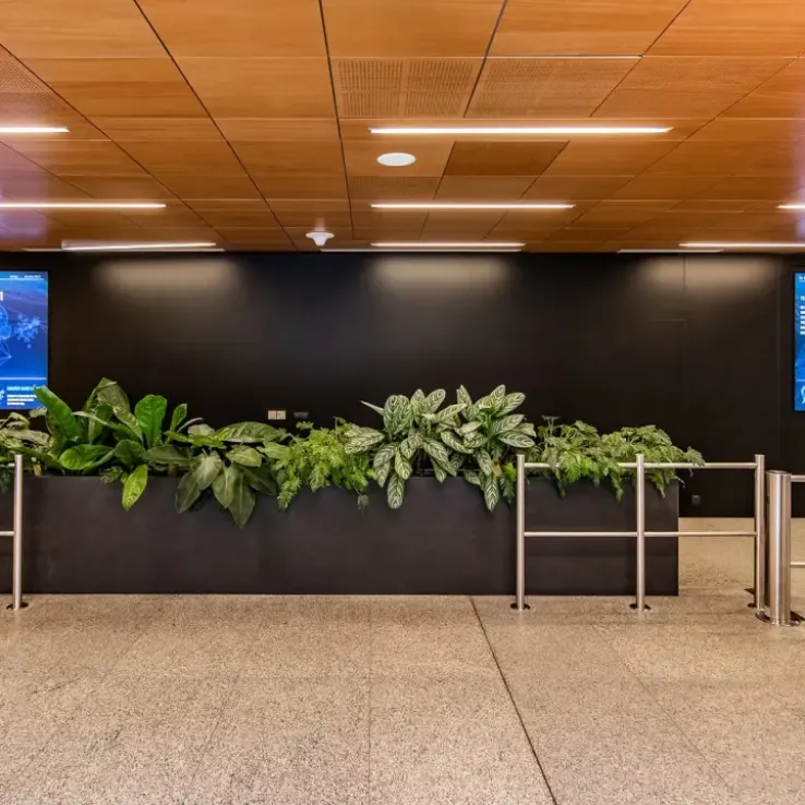 Wola Center Wola Center