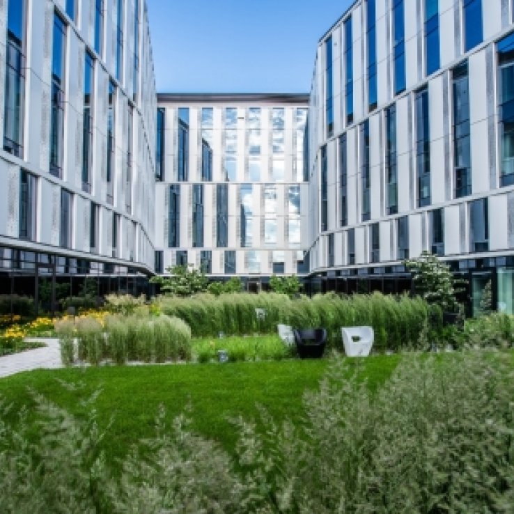 V. Offices