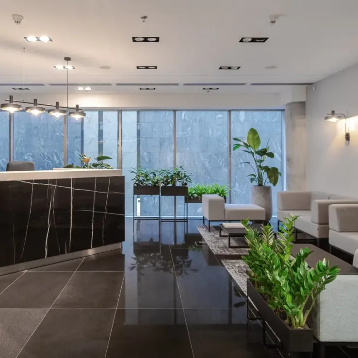 Wolf Marszałkowska Wolf Marszałkowska