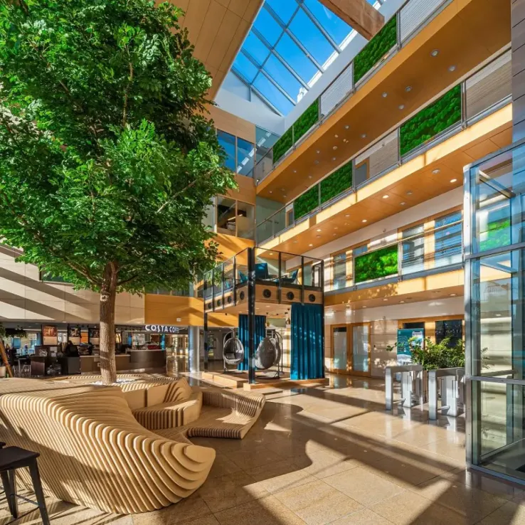 Tulipan House Tulipan House