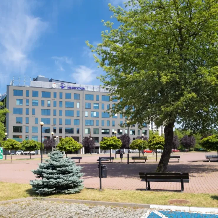 Green Horizon Green Horizon