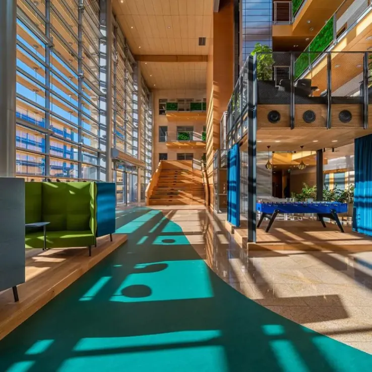 Tulipan House Tulipan House