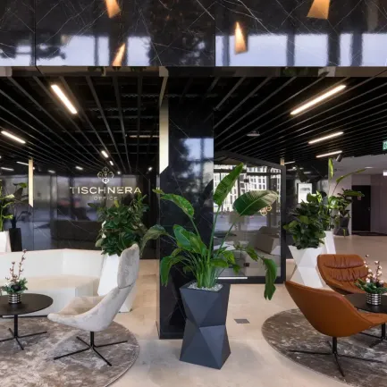 Tischnera Office