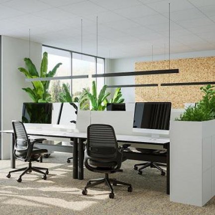 V. Offices