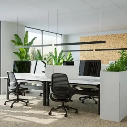 V. Offices
