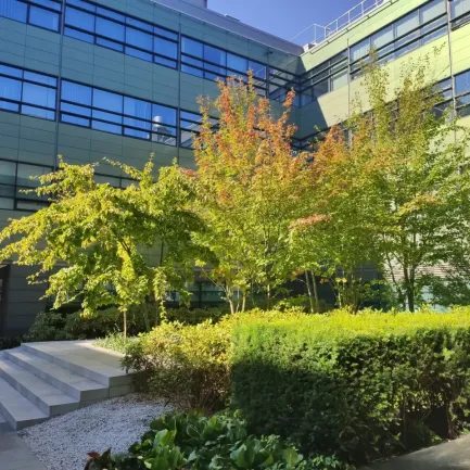 Poleczki Park Amsterdam